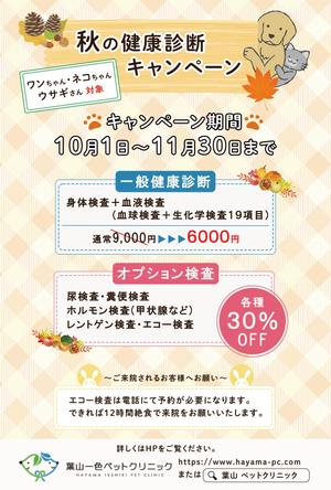 張替真依 (maaa0129)さんの動物病院の秋の健康診断キャンペーンDMの作成依頼への提案