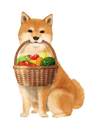 なかやこ (moso_michi)さんのパッケージイラスト予定の犬のイラストへの提案