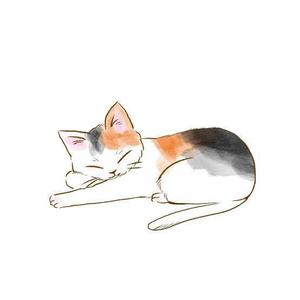 placegreenさんの猫用アパートの名刺作成への提案