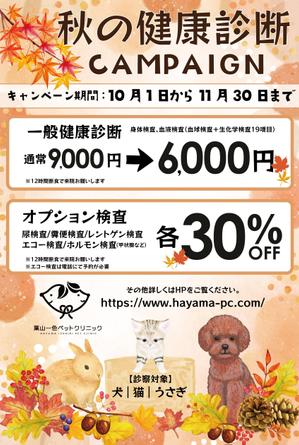 Ran. (605c101025ce8)さんの動物病院の秋の健康診断キャンペーンDMの作成依頼への提案