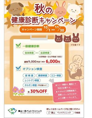スミネコ (qqse9kp9k)さんの動物病院の秋の健康診断キャンペーンDMの作成依頼への提案