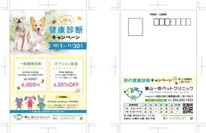 nalu design (nalu-design)さんの動物病院の秋の健康診断キャンペーンDMの作成依頼への提案