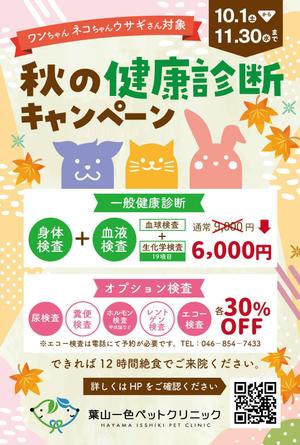 kano (kano_design)さんの動物病院の秋の健康診断キャンペーンDMの作成依頼への提案