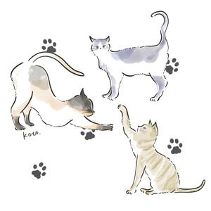 koto. (kakikaki_koto)さんの動物病院「Ronroneo」(ロンロネオ)のロゴへの提案