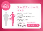 高久保デザイン事務所 (Takakubom)さんの医療痩身のカウンセリング資料への提案