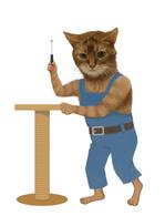CUBE (cube1)さんのねこの実写版のようなデザインへの提案
