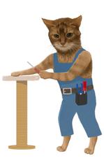 CUBE (cube1)さんのねこの実写版のようなデザインへの提案