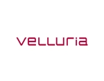 tora (tora_09)さんのアパレルブランド Velluria のロゴ作成への提案