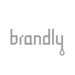 kosei (kosei)さんのオリジナルデザインでつくれる【パウチ型のお水】「brandly」 のロゴ制作のお願いへの提案