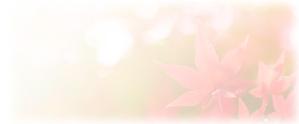 cocoa_さんの美しい自然　イラスト・または写真加工【紅葉（こうよう）】への提案
