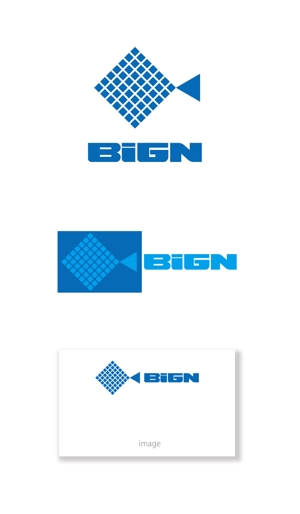 serve2000 (serve2000)さんの廃漁網回収・再生の活性化に向けたアクティビティ「BiGN」のロゴへの提案