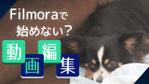 横山正洋 (masahiro_diract)さんの【総額30万円】Filmora×Lancers動画クリエイターを目指す人への紹介動画制作（30秒~）への提案