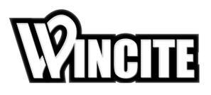 anna (ist2011)さんのソフトテニス専門店のオリジナルブランド「WINCITE」のロゴへの提案