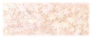 cottonmoonさんの美しい自然　イラスト・または写真加工【紅葉（こうよう）】への提案