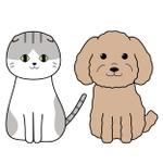 向日葵きのこ (kinoko32bk)さんの人気犬種、猫種のイラスト２点への提案