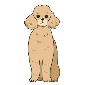 konekone  (onigiriasako)さんの人気犬種、猫種のイラスト２点への提案