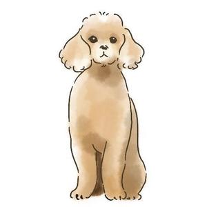konekone  (onigiriasako)さんの人気犬種、猫種のイラスト２点への提案
