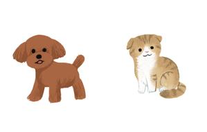 株式会社タカラッシュ (Takarush)さんの人気犬種、猫種のイラスト２点への提案