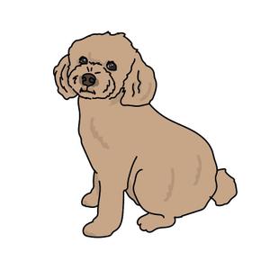 shimashimaco (shimashimaco)さんの人気犬種、猫種のイラスト２点への提案