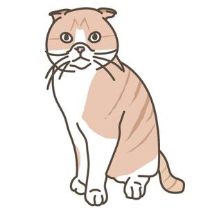 shimashimaco (shimashimaco)さんの人気犬種、猫種のイラスト２点への提案