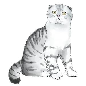 Atelier_C.Chiho (Atelier_C)さんの人気犬種、猫種のイラスト２点への提案
