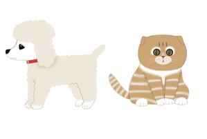 赤塚　常信 (fidt3675)さんの人気犬種、猫種のイラスト２点への提案
