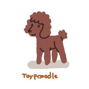 kikujiro (kiku211)さんの人気犬種、猫種のイラスト２点への提案