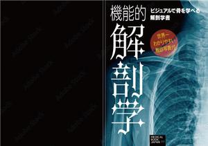 デザインのチカラコブ (goro246)さんの解剖学の教科書の表紙デザインのお願いへの提案