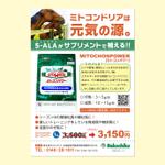 Chocoroxy (chocoroxy)さんの馬飼料会社の新発売サプリメントのチラシへの提案