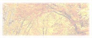ryo1953さんの美しい自然　イラスト・または写真加工【紅葉（こうよう）】への提案