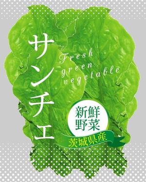 48e2さんのサンチュのパッケージへの提案