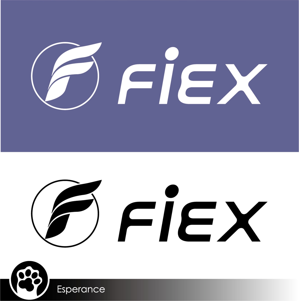 FiEX-3.jpg