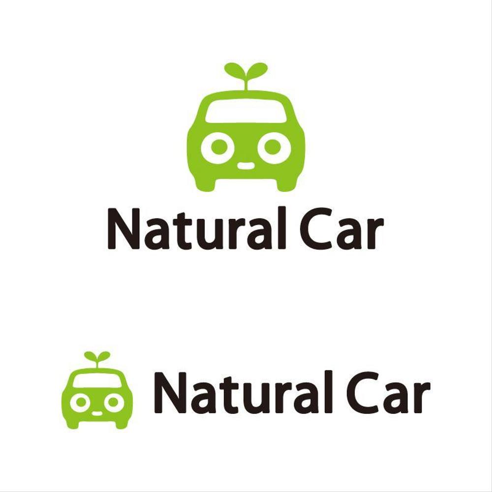 Natural-Car.jpg