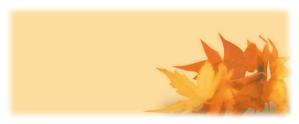 cottonmoonさんの美しい自然　イラスト・または写真加工【紅葉（こうよう）】への提案