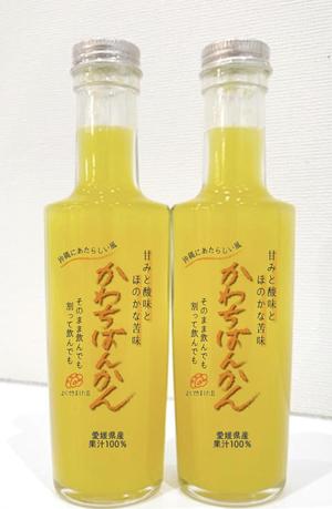 kato (Beatle)さんの沖縄県で「100%果汁」でも「割材」としても販売する愛媛県愛南町河内晩柑100%果汁のラベルデザインへの提案