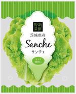 川原真一郎 (DesignUP)さんのサンチュのパッケージへの提案