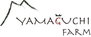 酒井晏菜 ()さんの山口いちご園「yamaguchi farm」のロゴ作成依頼への提案