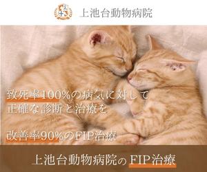Asami | webデザイナー ()さんの動物病院のサイトで使用する　FIP治療のバナーへの提案