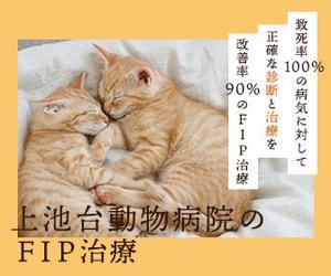 高橋かえ (k_a_e)さんの動物病院のサイトで使用する　FIP治療のバナーへの提案