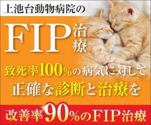 Kyo (kiiro22)さんの動物病院のサイトで使用する　FIP治療のバナーへの提案