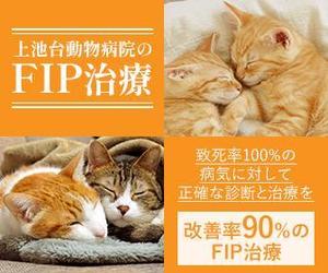 towate (towate)さんの動物病院のサイトで使用する　FIP治療のバナーへの提案