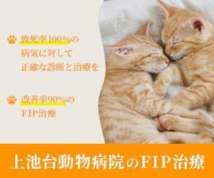 よう (yk_t)さんの動物病院のサイトで使用する　FIP治療のバナーへの提案