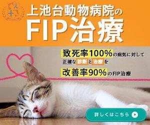 Snok_Design (Snok_Design)さんの動物病院のサイトで使用する　FIP治療のバナーへの提案