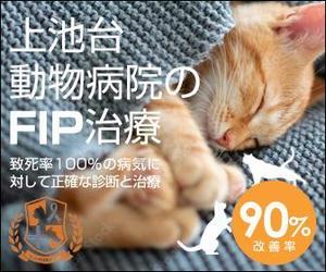 team John and Kz (hinatafuka)さんの動物病院のサイトで使用する　FIP治療のバナーへの提案