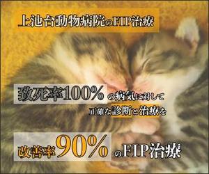rii. (624fccc05e360)さんの動物病院のサイトで使用する　FIP治療のバナーへの提案