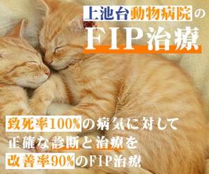 烏丸れーもん (godeater-yuya0223)さんの動物病院のサイトで使用する　FIP治療のバナーへの提案
