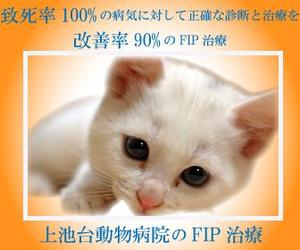 菊池理子 (akugami)さんの動物病院のサイトで使用する　FIP治療のバナーへの提案