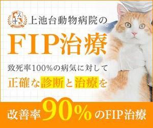 あんな＊WEBデザイン、動画編集 (17fune)さんの動物病院のサイトで使用する　FIP治療のバナーへの提案