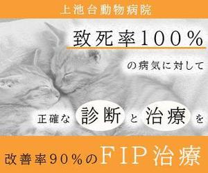 chokomomo (liberte_so)さんの動物病院のサイトで使用する　FIP治療のバナーへの提案