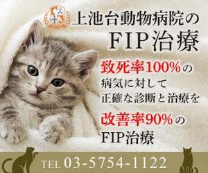 Hide_Y (user_rsd)さんの動物病院のサイトで使用する　FIP治療のバナーへの提案